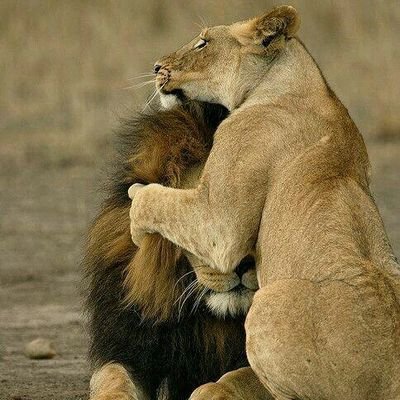 K19_1919's profile picture. 