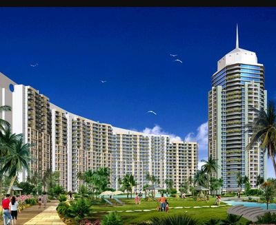 RealJamhuri's profile picture. Real investment