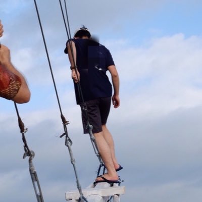 Pet3Pe's profile picture. 三毛猫/柴犬 日本ハムファイターズ/西武ライオンズ