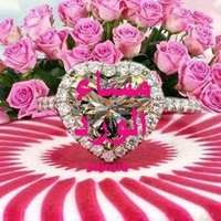 صنعاني مبادل زوجين (@m3uxte8at47fsps) Twitter profile photo