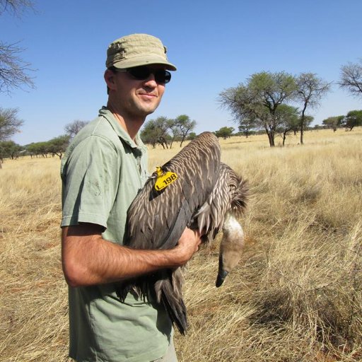 Researcher at @GEDA_IMEDEA @IMEDEA_UIB_CSIC - Conservation science | applied ecology | evidence-based conservation | #humans & #vultures