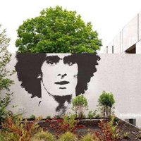 Tree-Fellaini(@3Fellaini) 's Twitter Profile Photo