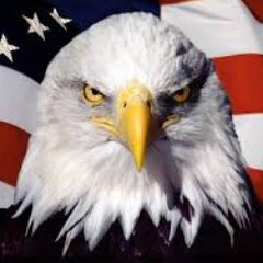 twilsonkc's profile picture. 