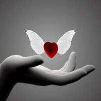 Heart of Angel(@rena07nonen) 's Twitter Profile Photo