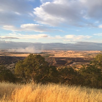 IAbiblicalnames's profile picture. Parenting