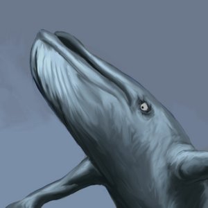 Quota_RoA's profile picture. orcane carries me. beta tester, rivals of aether. he/they. 🏳️‍🌈