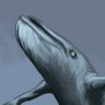 Quota_RoA's profile picture. orcane carries me. beta tester, rivals of aether. he/they. 🏳️‍🌈