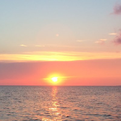 cheysebold's profile picture. 