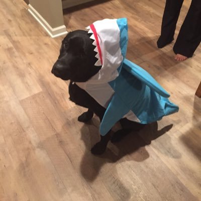 polarfit317's profile picture. 