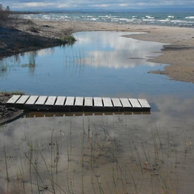 KnelsieKnelsen's profile picture. 