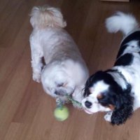 kat (@tinkz777) 's Twitter Profile Photo kat (@tinkz777) 's Twitter Profile Photo