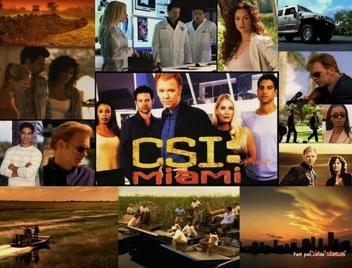 CSI:Miami quotes by the characters.