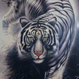 Download 6800 Koleksi Gambar Harimau Kalimantan Terbaik Gratis HD