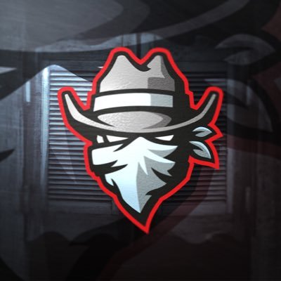 Official Twitter of Counter Union! We are a professional CS:GO team that specializes in esports and collaboration!