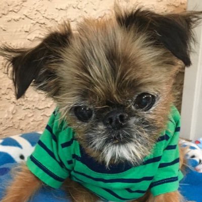 Abyzaby's profile picture. 