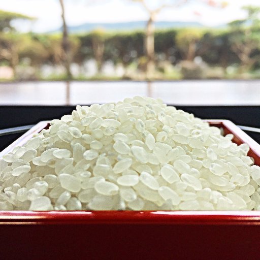 nishikioterasu's profile picture. 三重県産のコシヒカリ「にしきおてらす」 は、おいしさ最上位の特A米です！