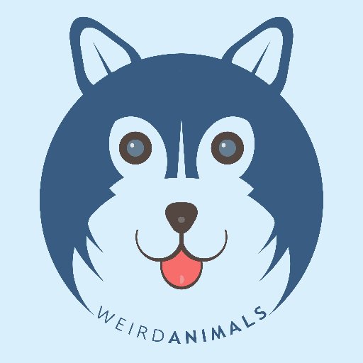 molevolence08's profile picture. Weird Animals Intensifies in this account