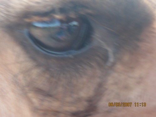 dstjs's profile picture. 