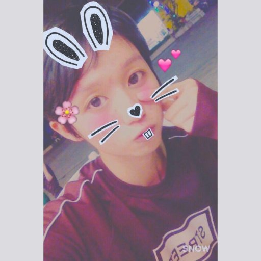 Dango1Neko's profile picture. _私は非常に偏心しています。