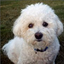 Thomas Jacobs - @tjacbs - Twitter