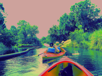 fl2native's profile picture. I'm a Florida native with a penchant for recreational kayaking, paddleboarding, traveling to exotic places and enjoying the outdoors.  Luv the South Pacific!