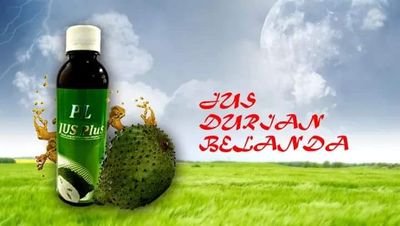 Durian Belanda Jus Belanda Twitter