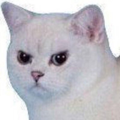 ночаさんのプロフィール画像