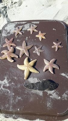 mele1234567's profile picture. 