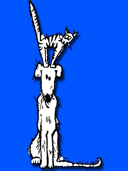 Whiskeringhts's profile picture. 