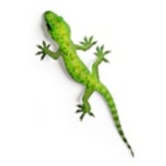 cecohebdo's profile picture. Arts