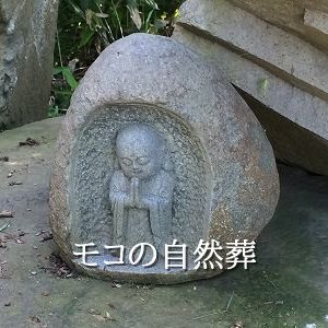 完璧に作業する遺品整理・特殊清掃担当者が常駐しています。自然葬にも対応。「困った」を解決 #青森の遺品整理#青森特殊清掃#青森家財整理#青森市一般廃棄物指定業者#ゴミ屋敷清掃#多頭飼育現場清掃#完全消臭#特殊清掃革命#日本全国対応#ドムスシユーカット#特許技術花輪式#モコのラードトル#商標登録