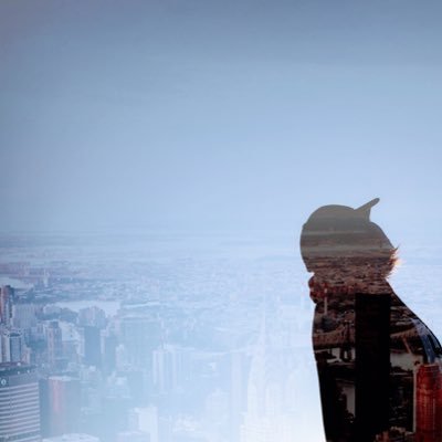 maine03family's profile picture. 音楽、語学、旅行、スケボー、海、サメ、映画