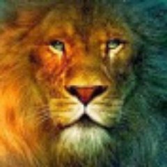 krzysztof725's profile picture. 