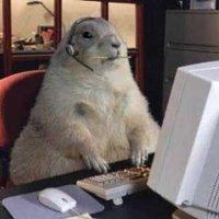 Chuck “Parody” Groundhog(@only_si_chuck) 's Twitter Profile Photo