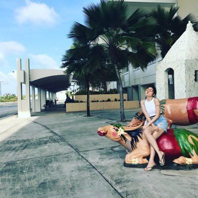 roamer_in_tokyo's profile picture. 時は平成 世は戦国