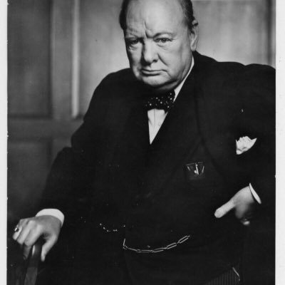 Books, Politics, News, Husband, Father and Trump supporter, avid follower of anything regarding Winston Churchill