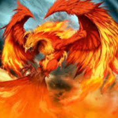 XxRoboGamer13Xx's profile picture. fraverate game is @ROBLOX.currently makeing a game. I love nature and going on long walks. and I am good at art its another one of my speciality follow me plz.