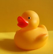 duckiemonster's profile picture. 