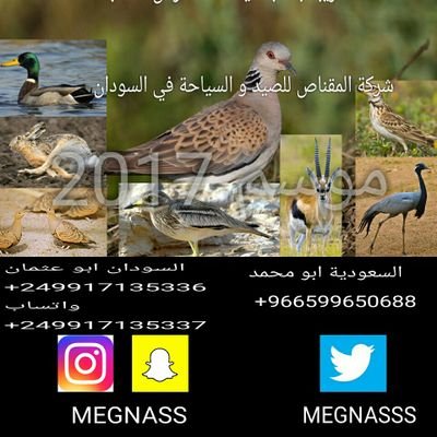 شركة سعودية نعمل في مجال الصيد في السودان نسعى الى تقديم افضل الخدمات للقنوص