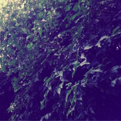 jon_priest's profile picture. Programmer. Probably other stuff too...