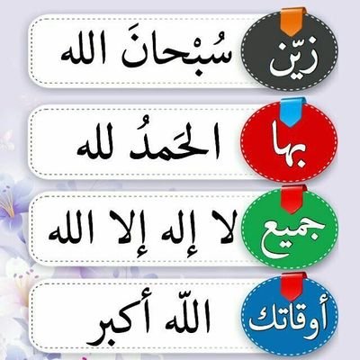 shooqi8's profile picture. ربي هب لي من يدعو لي بعد موتي