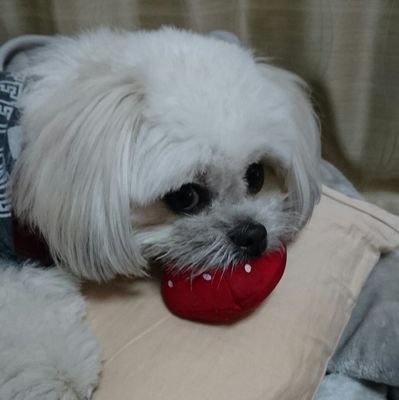 been1005's profile picture. 治験会社のモニターサラリーマン