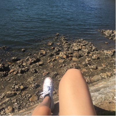 1T995's profile picture. 