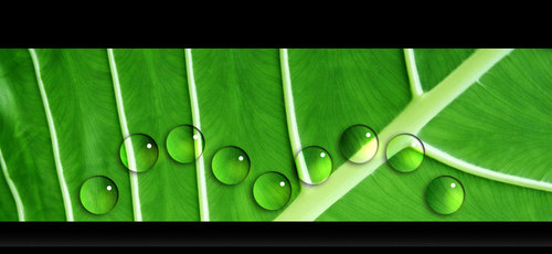 HRHNewMedia's profile picture. Co-Founder & Creative Director of HRH New Media - Internet Marketing Gurus Since 1999