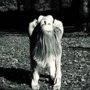 Alex Nolte - @alexnolteyoga - Twitter