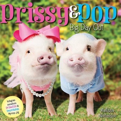 We are two mini pigs living in Florida who go to first grade with mom everyday. Follow our adventures! Instagram @prissy_pig