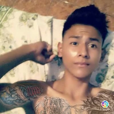 FelipeLemus13's profile picture. 