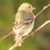 chintak (@chintak) Twitter profile photo chintak (@chintak) Twitter profile photo