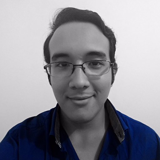 I'm into Computer Science and games. Follow me for your daily dose of nonsense.