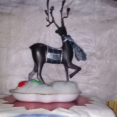 loyalbuddybs's profile picture. 